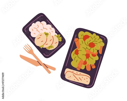 Healthy food in plastic lunch boxes. Vegetarian meals in delivery containers. Top view of takeaway lunchboxes with fresh eating, vegetables. Flat vector illustration isolated on white background
