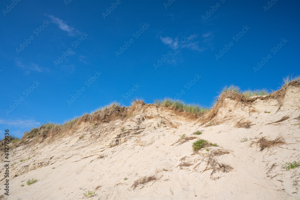 sandy dunes with blue sky and marram grass in the bay of Authie near Berck sur mer. sandy dunes with blue sky and marram grass in the bay of Authie near Berck sur mer.