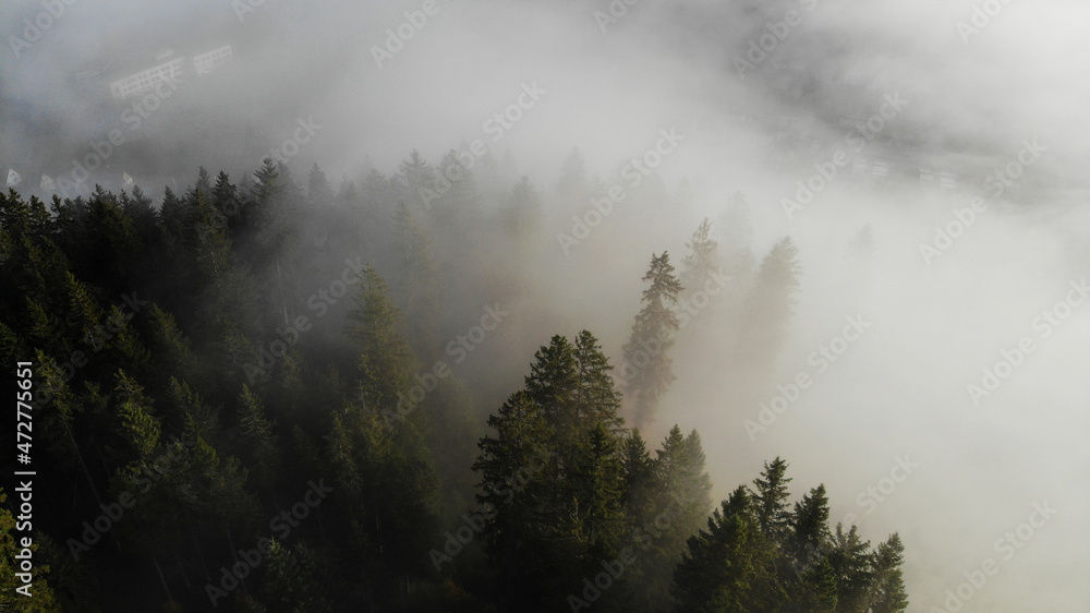 fog in the mountains