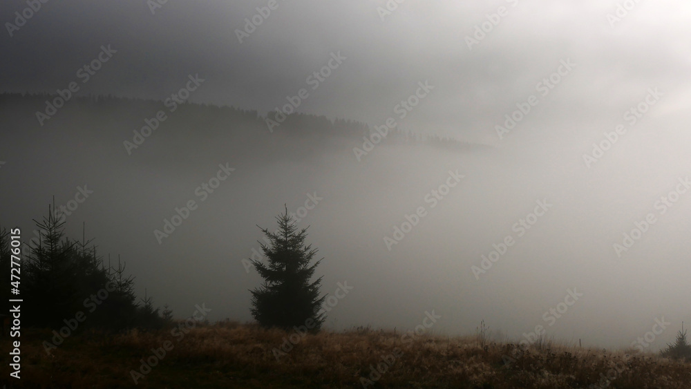 Obraz premium Foggy Mountain