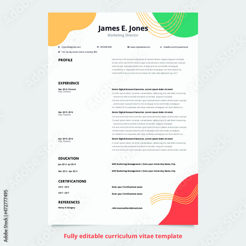 Clean and Professional Resume Layout design.
