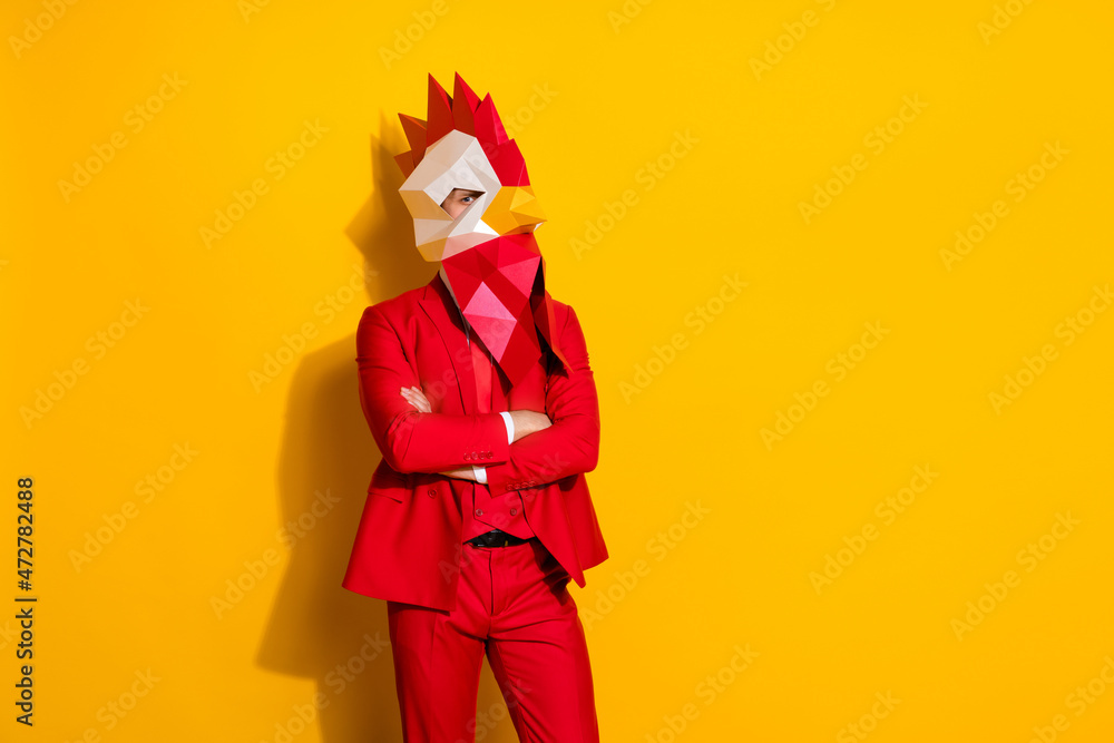 Photo of confident concentrated guy folded arms wear rooster polygonal mask red tuxedo isolated yellow color background