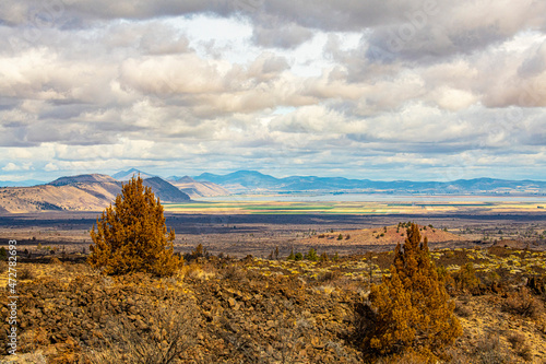 USA, California. Lava Beds National Monument, damage from 2020 Caldwell Fire photo