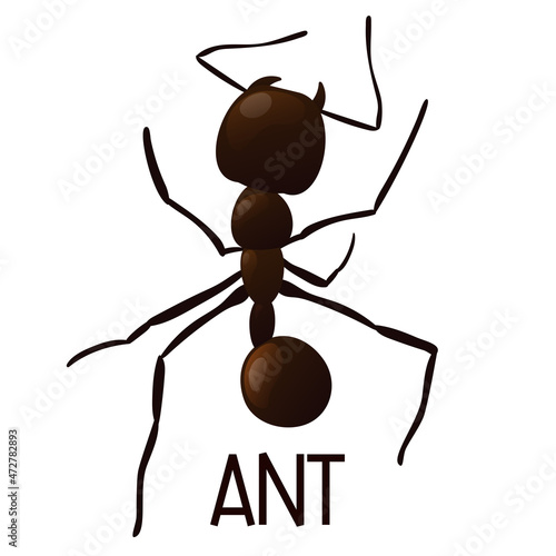 Black ant trail. Working insect curve group silhouettes isolated on white background. Vector illustration.