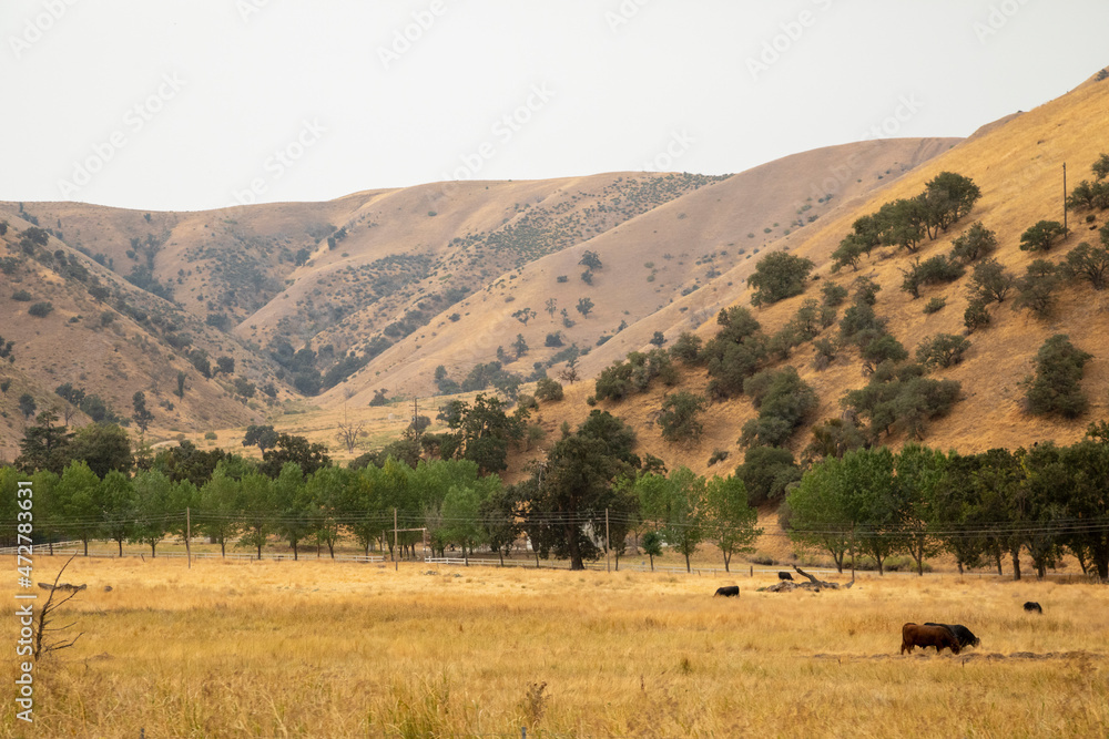 USA, California, Kern County. Landscape of meadow and hills.