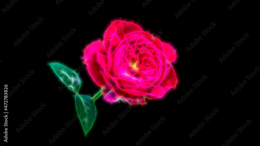 Fractal pink rose flower on black background. Neon pink rose. Fractal pink rose flower on black background. Neon pink rose.