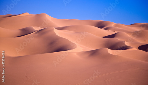 USA  California. Smooth  red dunes of the Algodones Dunes recreation area  also known as Imperial Sand Dunes.
