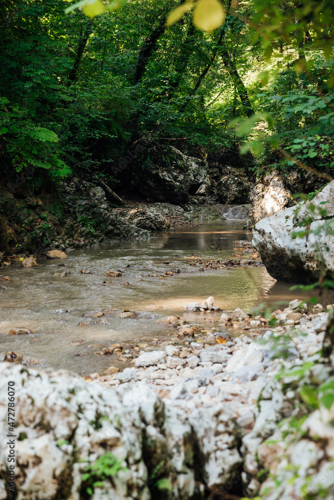 fast mountain river in a green forest landscape fast mountain river in a green forest landscape