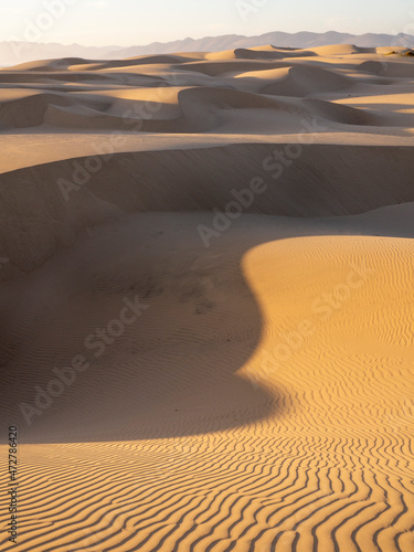 Canvas The sand dunes of Pismo Beach, California