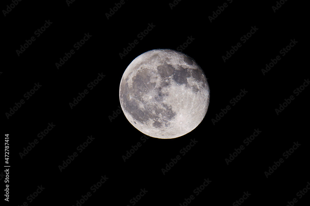 Fototapeta premium Full Moon. Blue Moon.