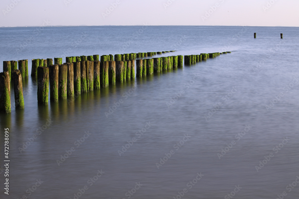 Wooden breakwaters at the coast in Zeeland, the Netherlands
