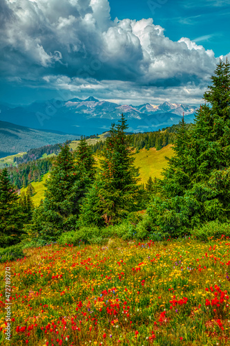 USA, Colorado, Vail. Meadow and mountain landscape. photo