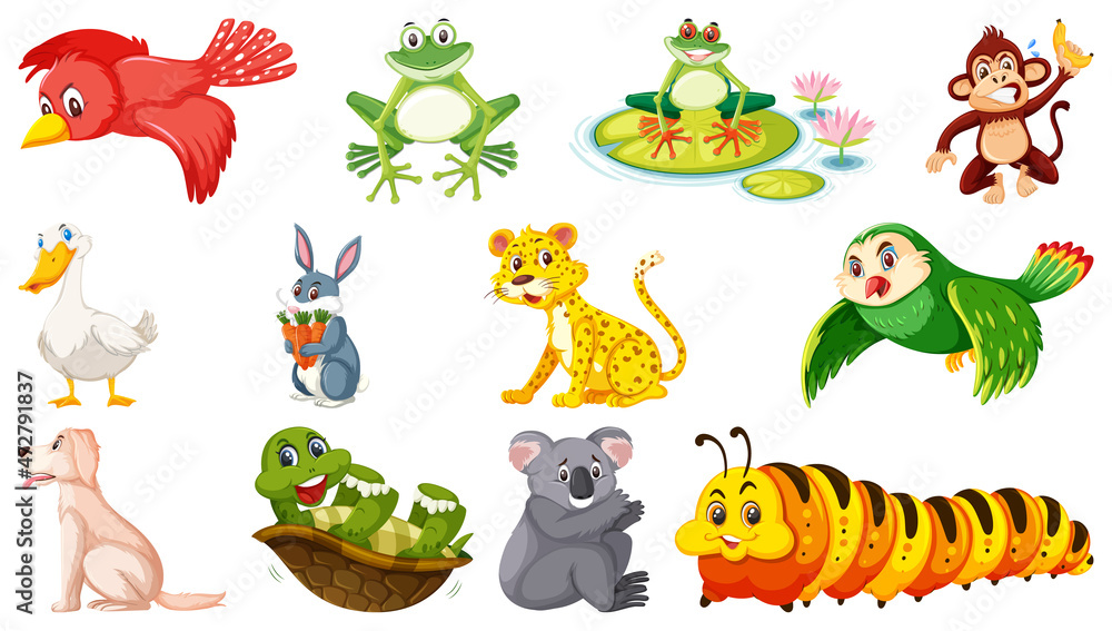 Fototapeta premium Set of isolated various animals