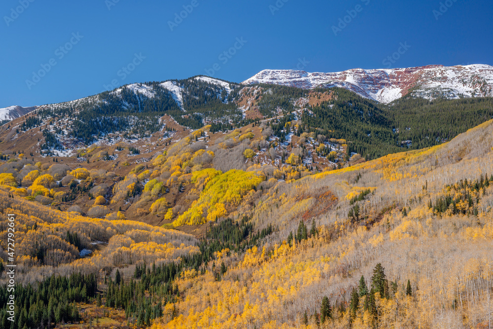 USA, Colorado. White River National Forest, Aspen and evergreen forest in autumn above Capitol Creek with fresh snow on ridgeline.