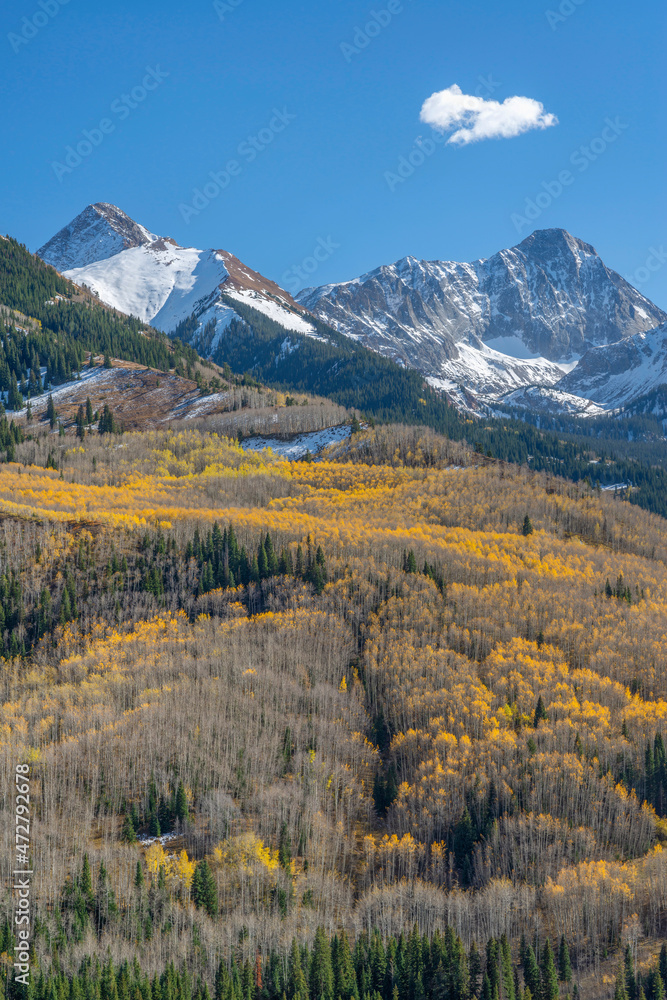 USA, Colorado. White River National Forest, Aspen and evergreen forest in autumn below Mt. Daly (left) and Capitol Peak (right) with fresh snow on peaks.