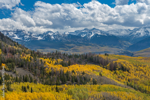 USA, Colorado. Uncompahgre National Forest, San Miguel Mountains above autumn colored aspen and conifer forest, view south from slopes of the Sneffels Range.