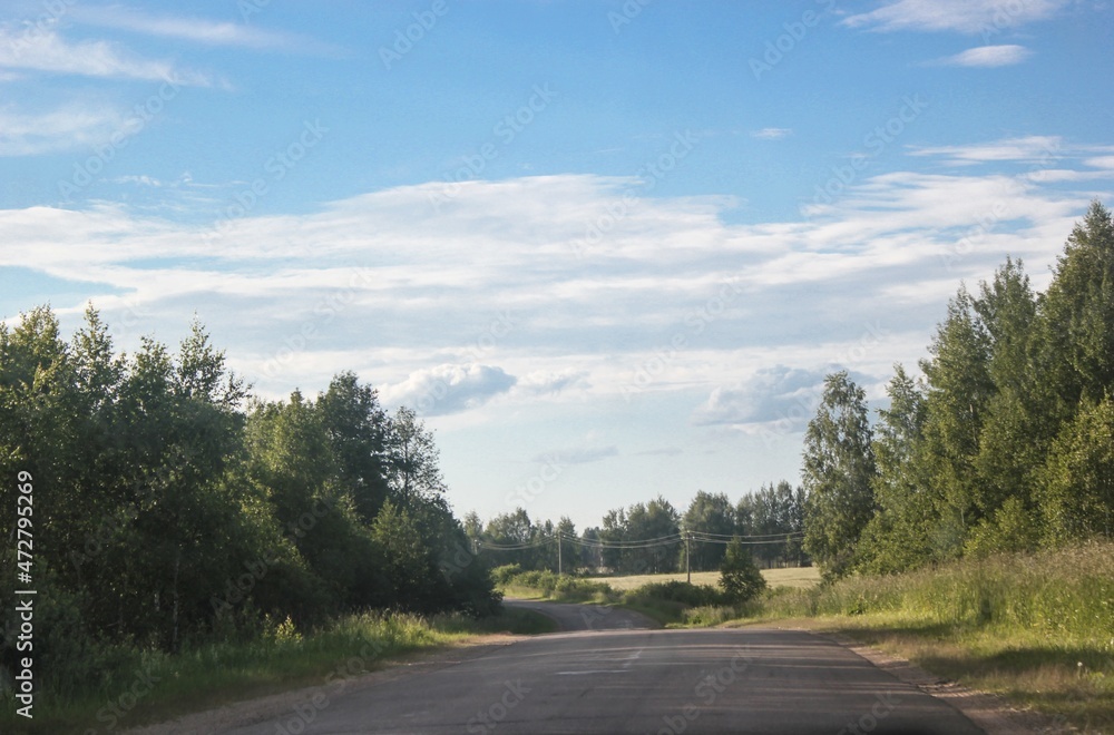 Summer landscape on the road