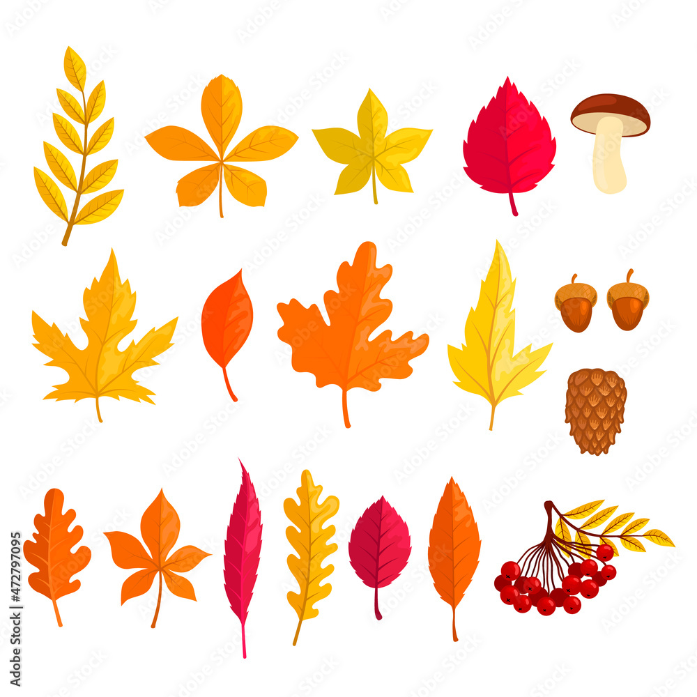 Set of illustrations of autumn leaves in cartoon style. Design element for poster, card, banner. Vector illustration Set of illustrations of autumn leaves in cartoon style. Design element for poster, card, banner. Vector illustration