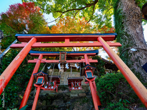 大県神社の鳥居と紅葉