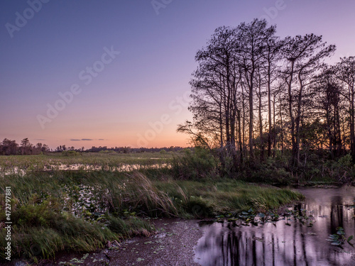 Sunset in everglades drainage, Loxahatchee Wildlife Refuge, Florida photo