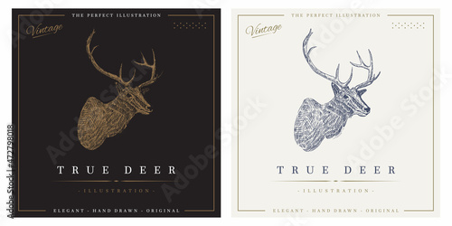 True deer vintage retro logo illustration template