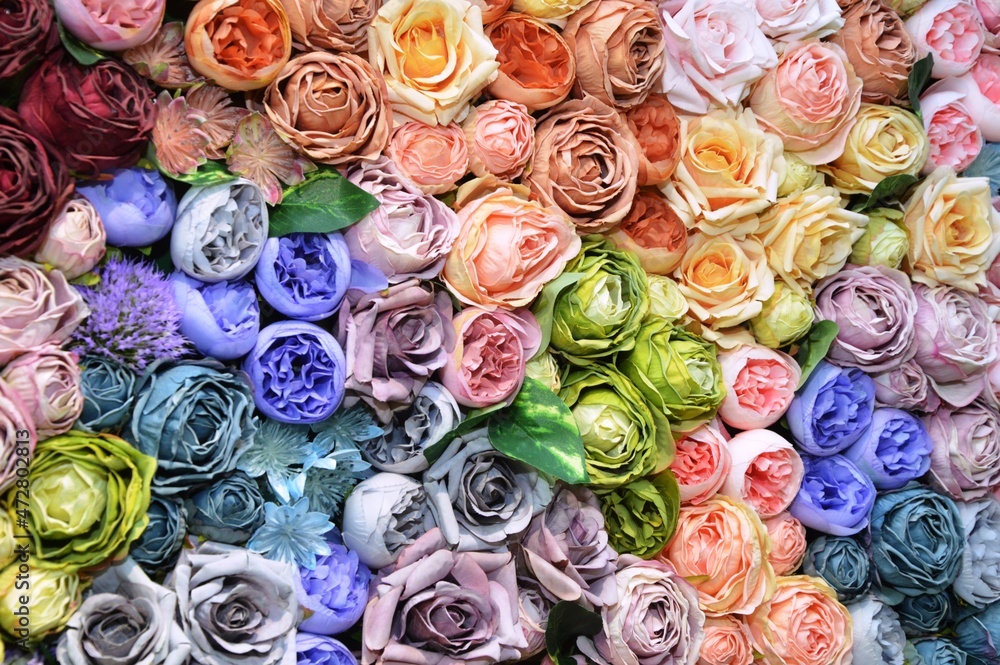 background of colorful roses