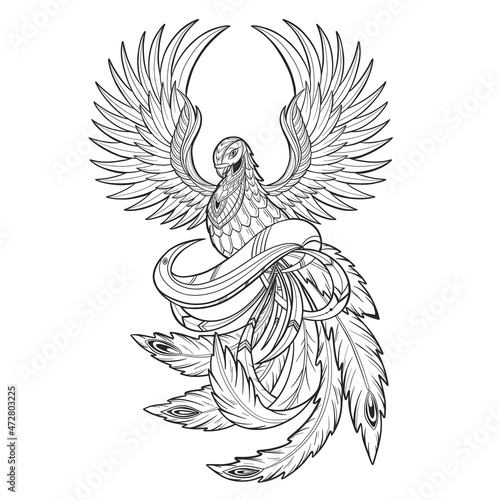 Phoenix illustration, drawing, engraving, ink, line art, vector