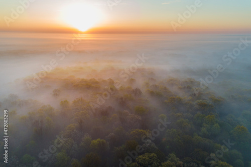 Wallpaper Mural Aerial sunrise over forest covered with fog in spring Marion County, Illinois Torontodigital.ca