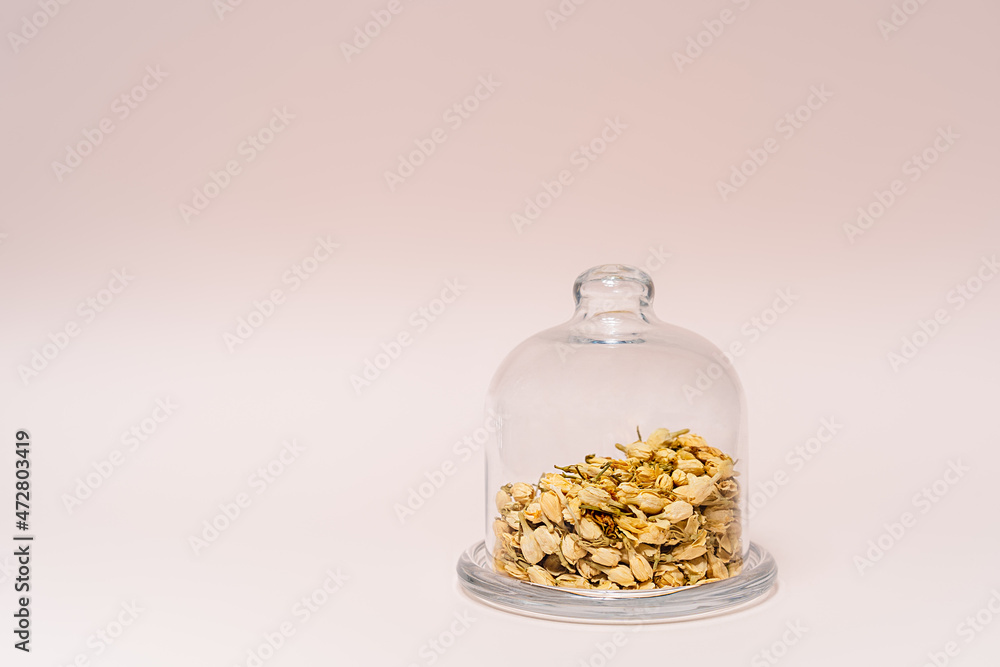 dried jasmine flowers on pink background dried jasmine flowers on pink background
