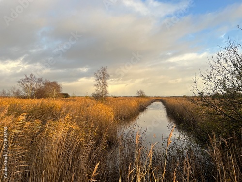 Canvas Beautiful landscape of Norfolk Broad river water at Hickling East Anglia uk wild