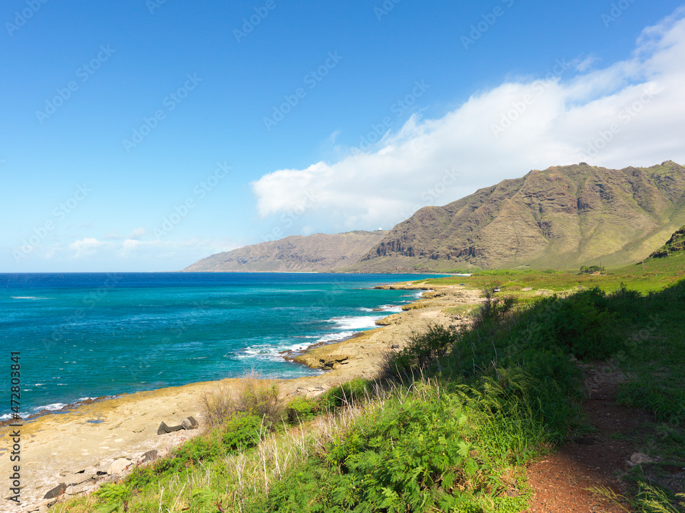 Fototapeta premium ハワイ カエナポイント州立公園 ヨコハマベイ