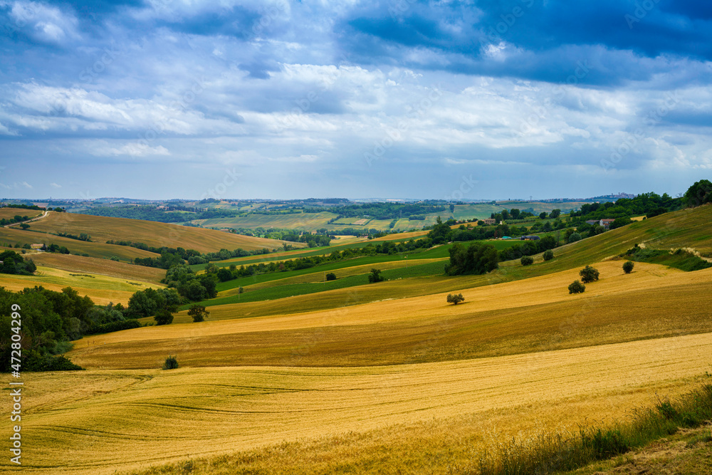 Rural landscape near Santa Maria Nuova and Osimo, Marche, Italy