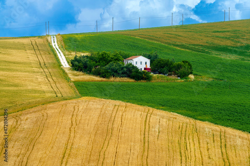 Rural landscape near Filottrano and Santa Maria Nuova, Marche, Italy photo