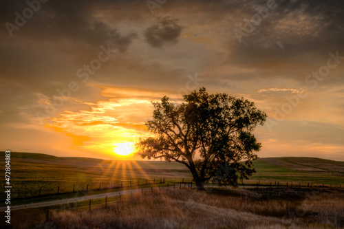 Sun rising over the Flint Hills with a country road.