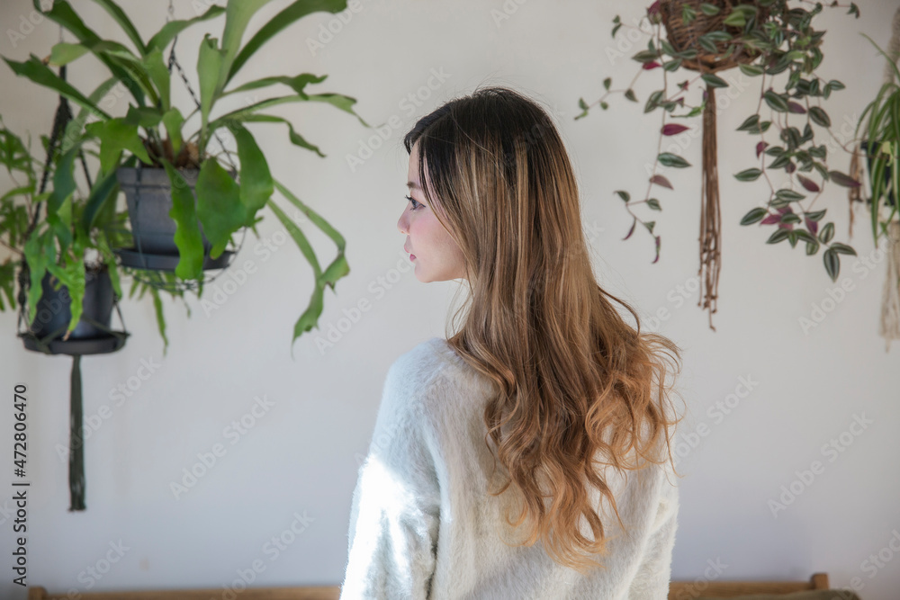 ハンギング観葉植物に囲まれた室内で 綺麗な巻き髪の女性の後ろ姿 Stock Photo Adobe Stock