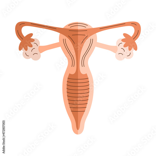 Uterus icon in flat. Symbol of the female reproductive organ.