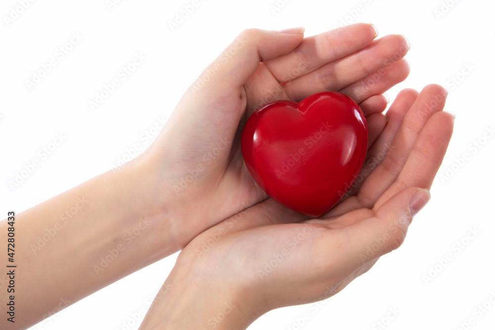 Obraz premium Holding a Red Heart