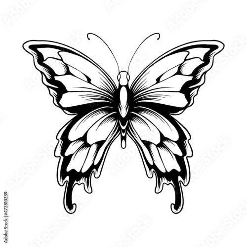 Beautiful Butterfly Illustration Silhouette