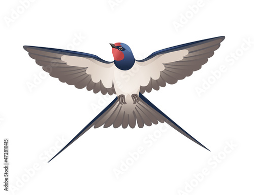 Cute swallow flying on white background cartoon bird animal design