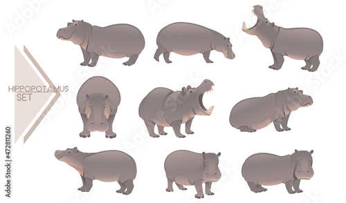 Collection of cute adult hippopotamus big mammal cartoon animal design vector illustration