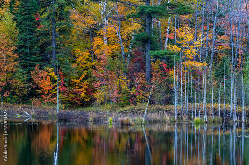 Autumn color reflects in pond near Marquette  Michigan  USA