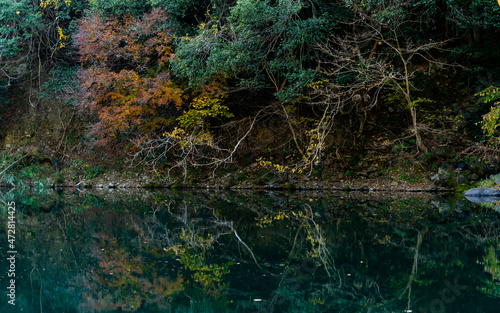 Autumn landscape beautiful colour trees over the river glowing in the sunlight. wonderful background. mountain reflection water in Japan. fresh and cold water