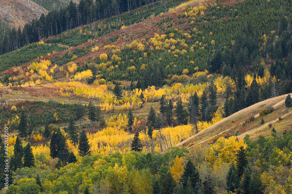 Autumn colors on hillside just outside Bozeman, Montana