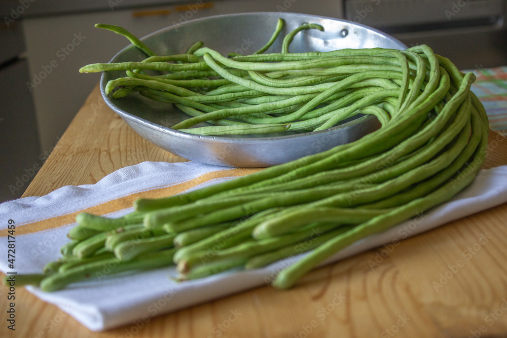 Freshly picked long beans on the table (Vigna unguiculata subsp. Sesquipedalis)