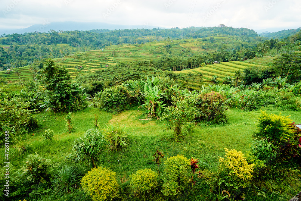 Beautiful landscape with green rice terraces. Bali, Indonesia.