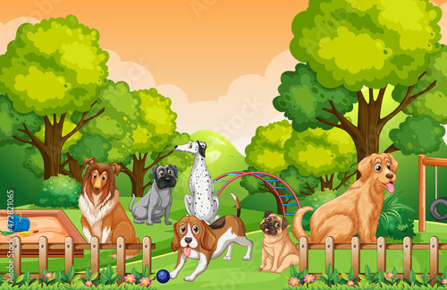 Park nature scene with many different dogs