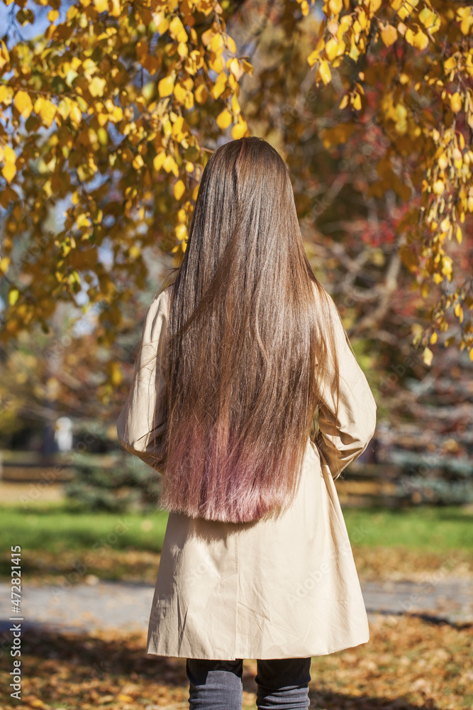 Brunette female hair back view - against the background of an autumn park Brunette female hair back view - against the background of an autumn park