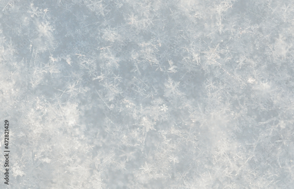 Close up of snowflakes as background.