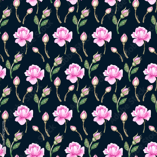 Botanical watercolor pattern with pink roses and buds on a blue background © SashaKondr