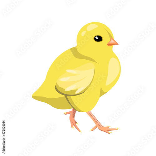The chicken is yellow, attractive,isolated on a white background.Vector bird can be used in children's textiles, postcards, packages.